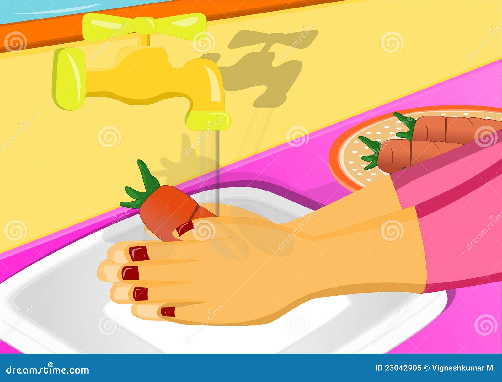 Washing vegetable stock illustration. Illustration of hygiene 23042905