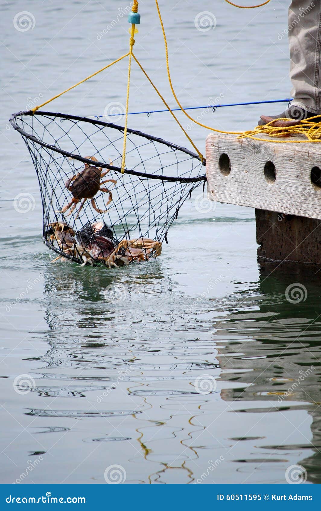 Washington crabbing stock image. Image of crabs, crab 60511595