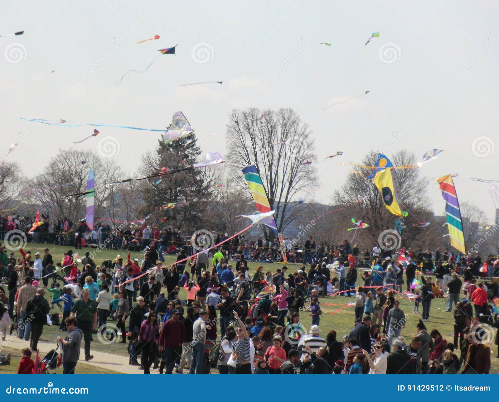 Washington DC Blossom Kite Festival Editorial Photography Image of