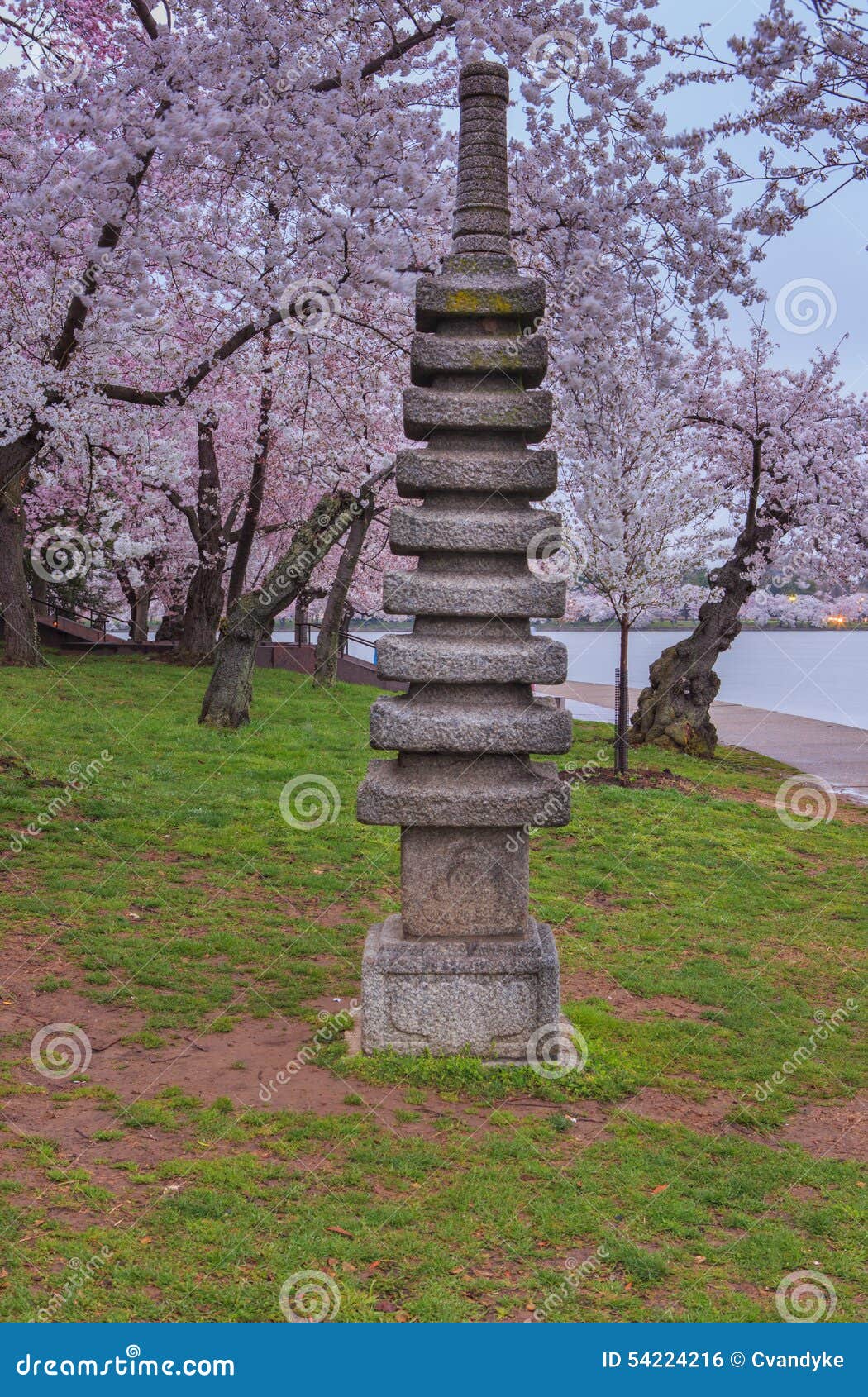 Washington DC Japanese Pagoda Statue Cherry Blossoms Stock Photo Image 54224216