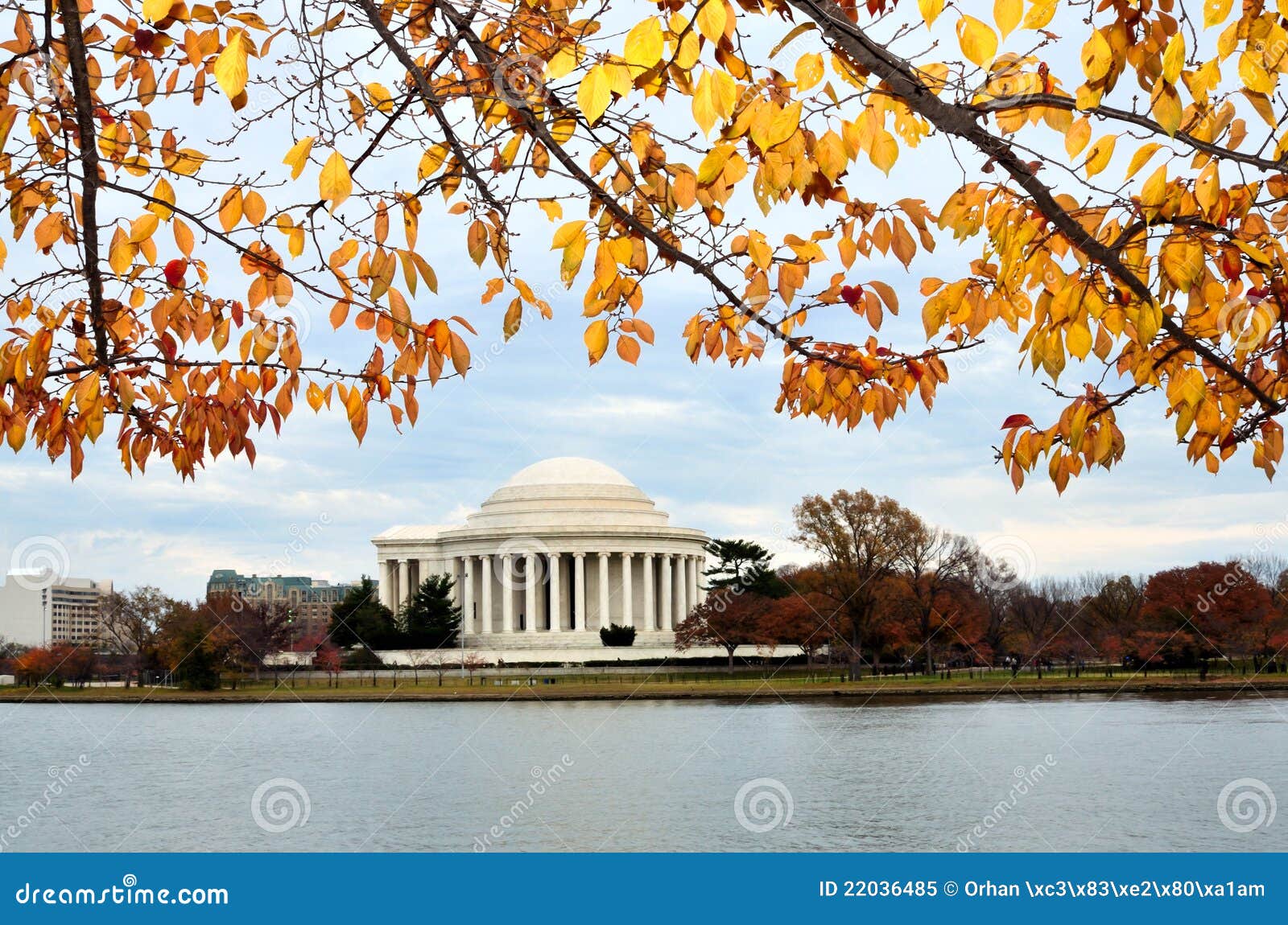 Washington DC - Thomas- Jeffersondenkmal in Autum. Thomas- Jeffersondenkmal im Herbst mit Gelb verlässt Feld. Washington DC USA