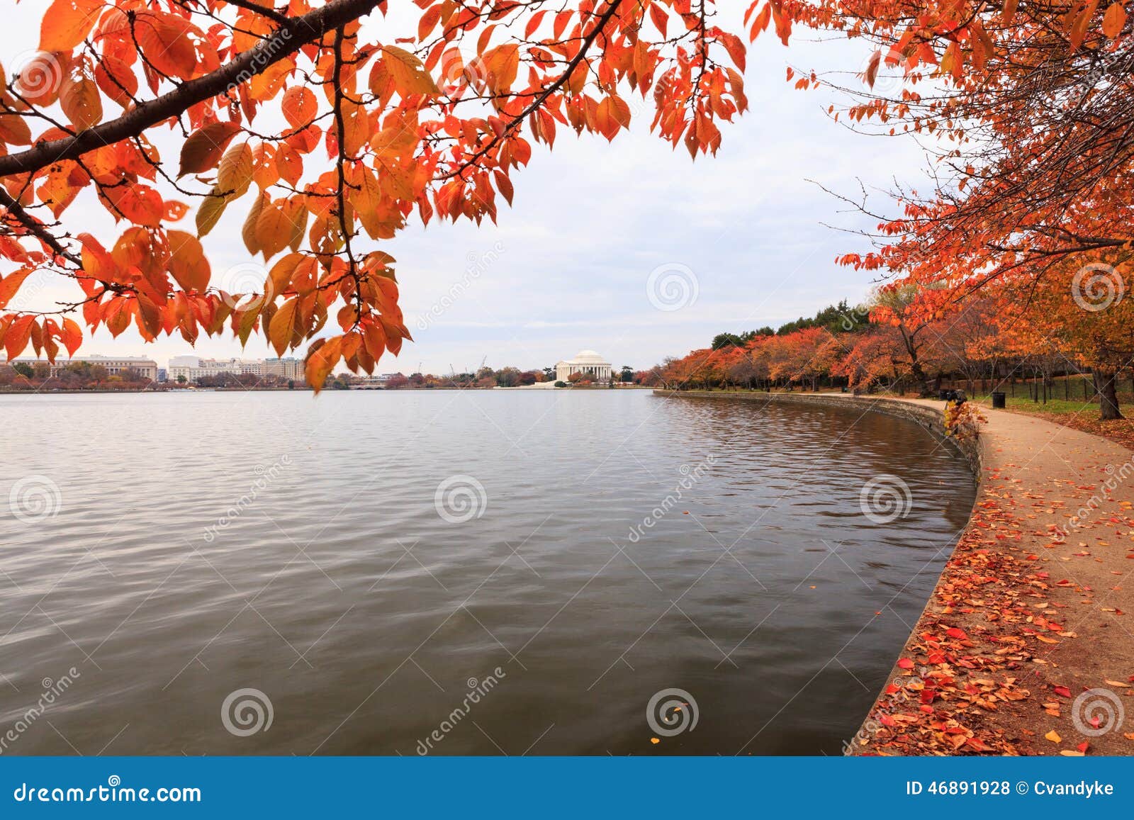 washington dc tidal basin in autumn