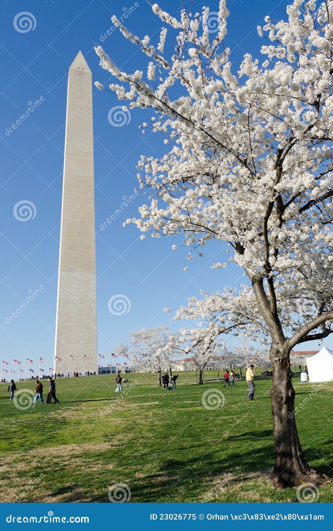 Washington DC, Washington Monument in Spring Stock Image Image of america, cloudy 23026775