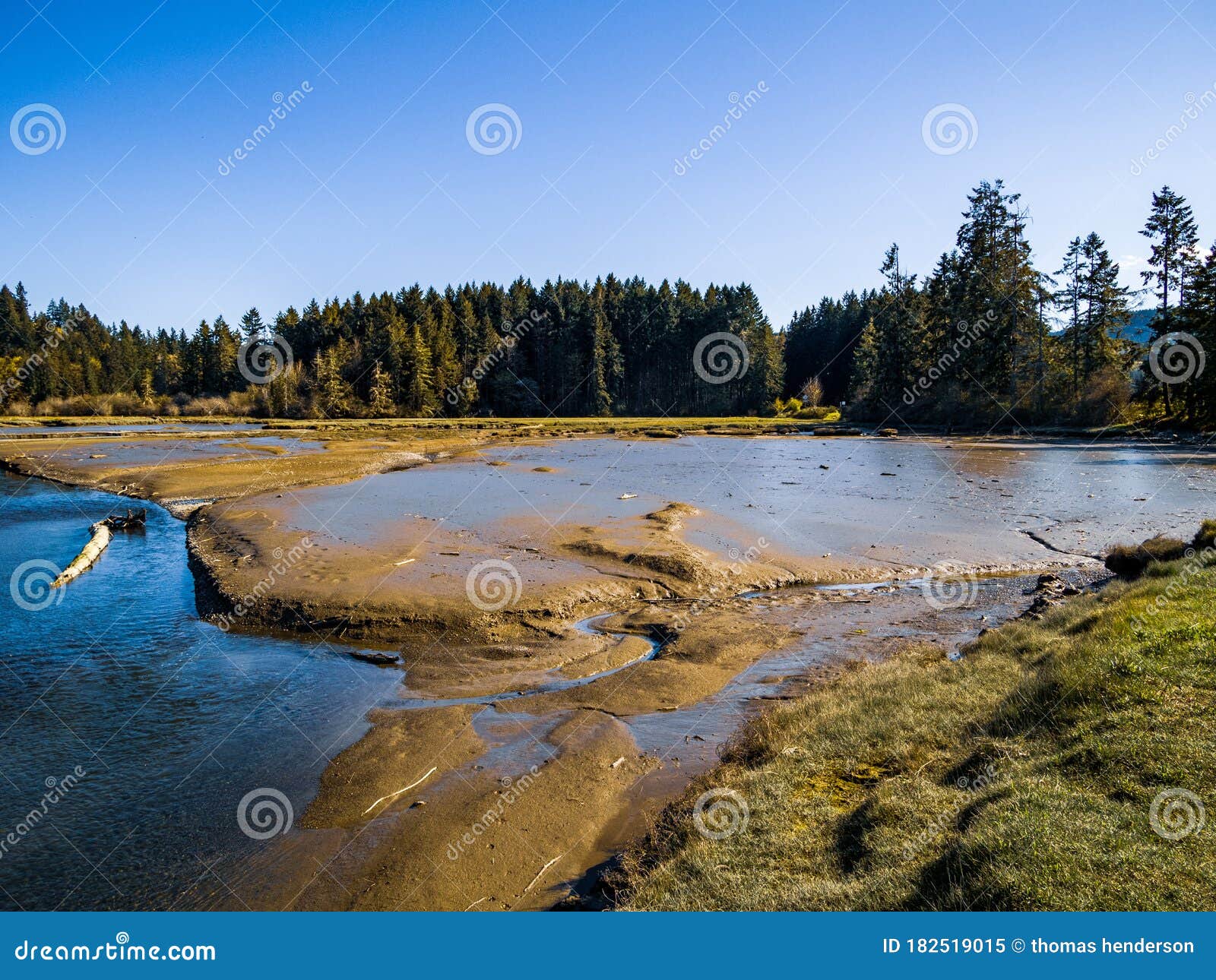 Washington. Landscape View of Trees and Water on a Sunny Afternoon in