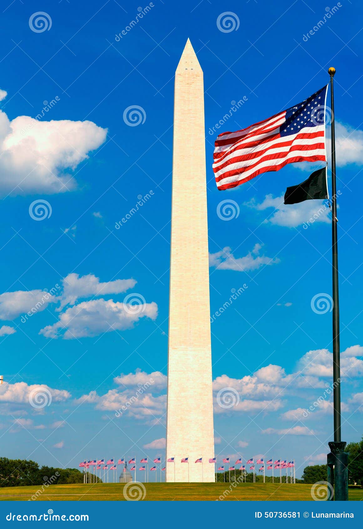 Washington Monument and Flags in DC USA Stock Image Image of landmark
