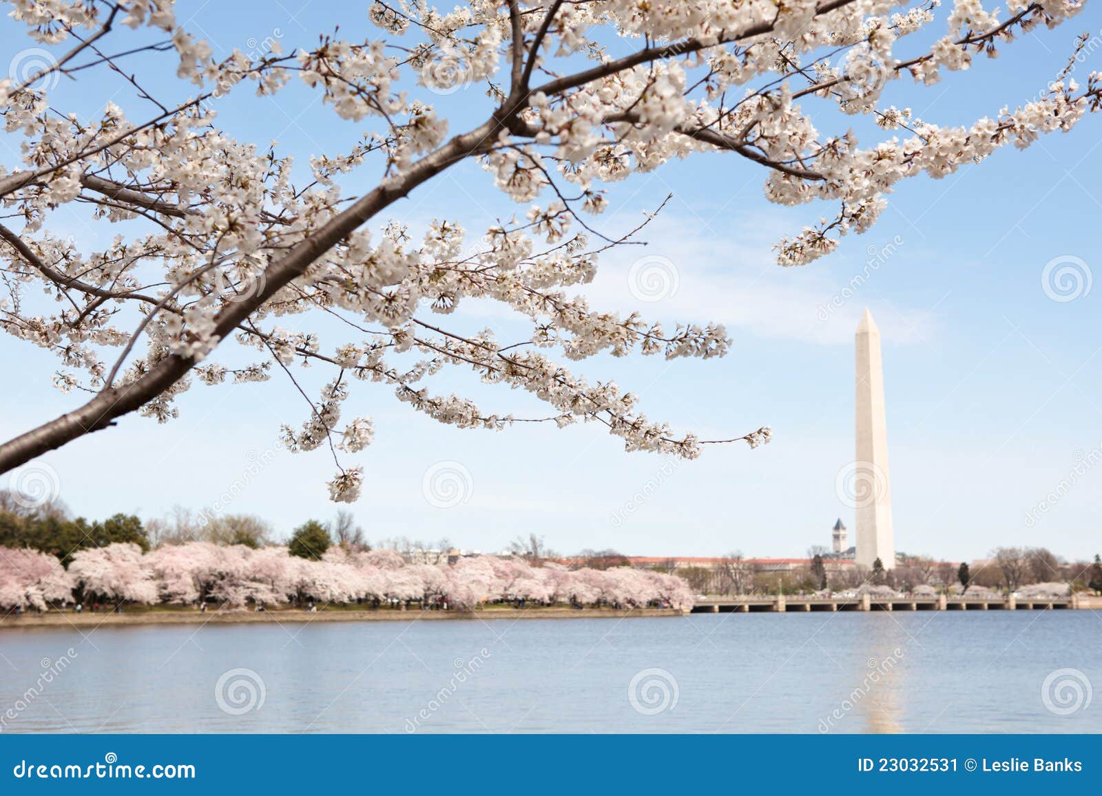 Washington Monument in Spring Stock Image Image of flower, washington 23032531