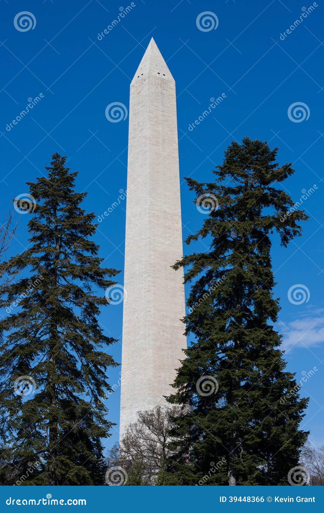 Washington Monument between Two Trees Stock Photo Image of obelisk, capitol 39448366