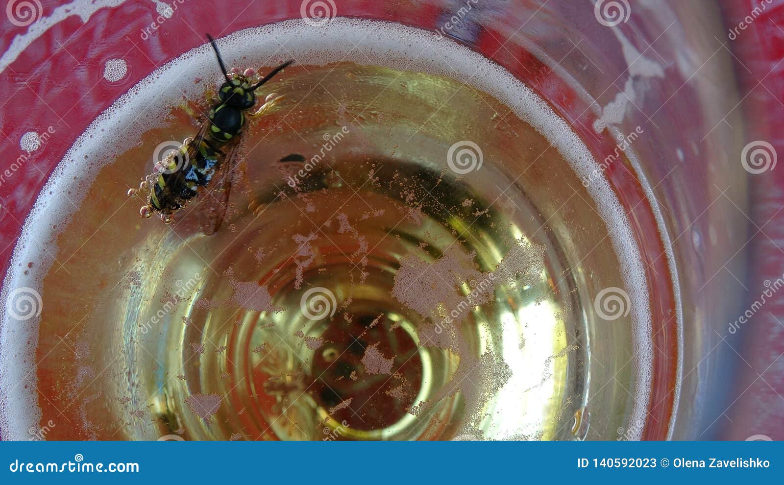 Wasps That Melt In The Beer Into Which They Fell Danger Of Swallowing The Wasp In The