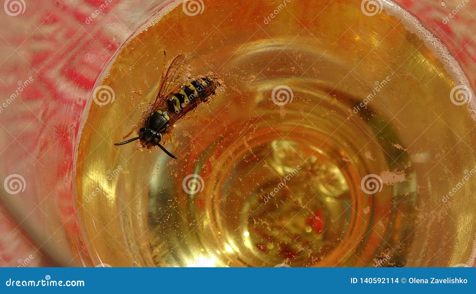 Wasps That Melt In The Beer Into Which They Fell Danger Of Swallowing The Wasp In The