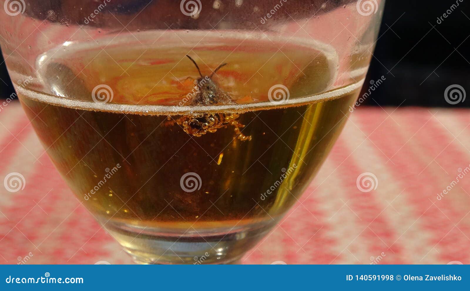 Wasps That Melt In The Beer Into Which They Fell Danger Of Swallowing The Wasp In The