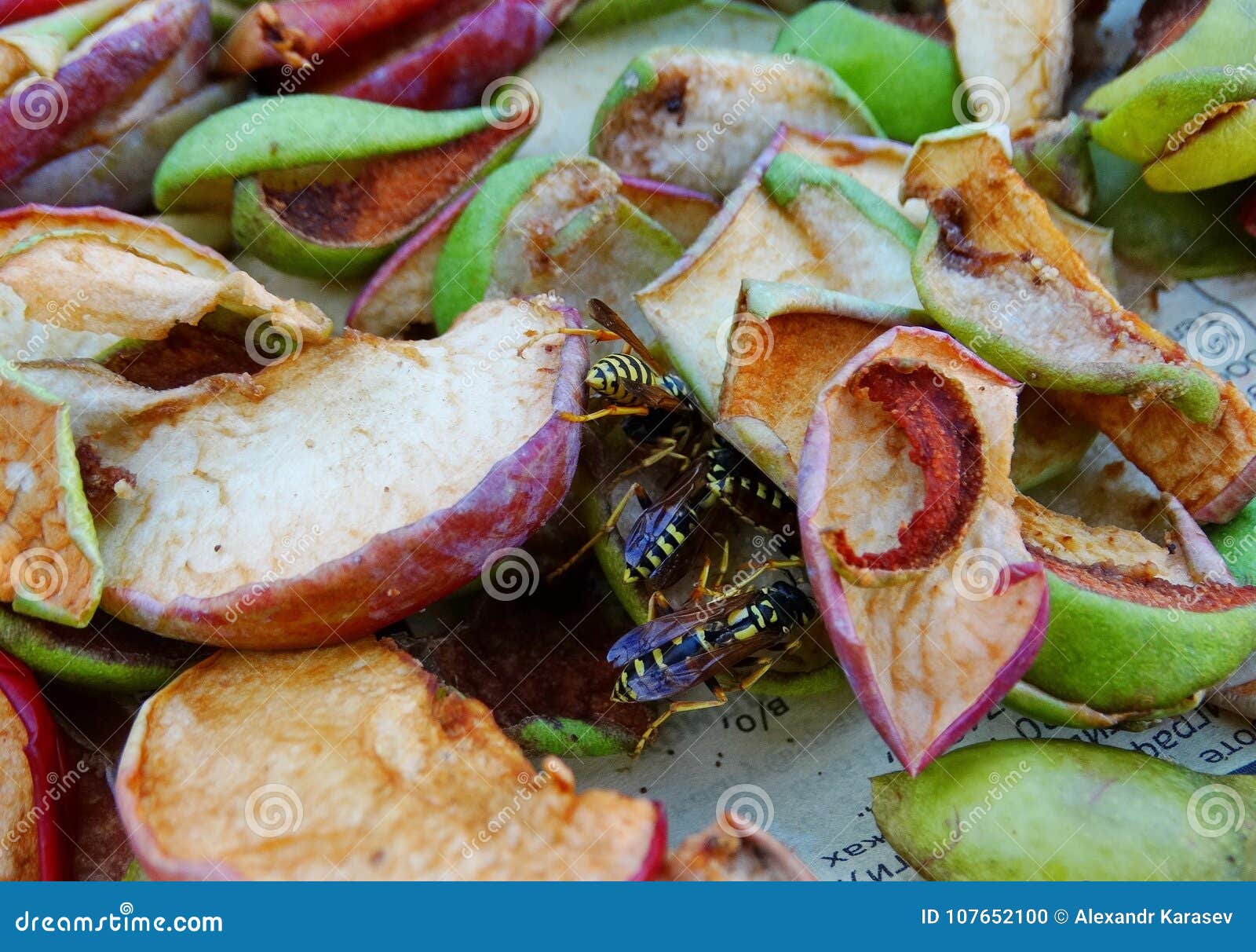Wasps collect nectar stock photo. Image of tasty, plate 107652100