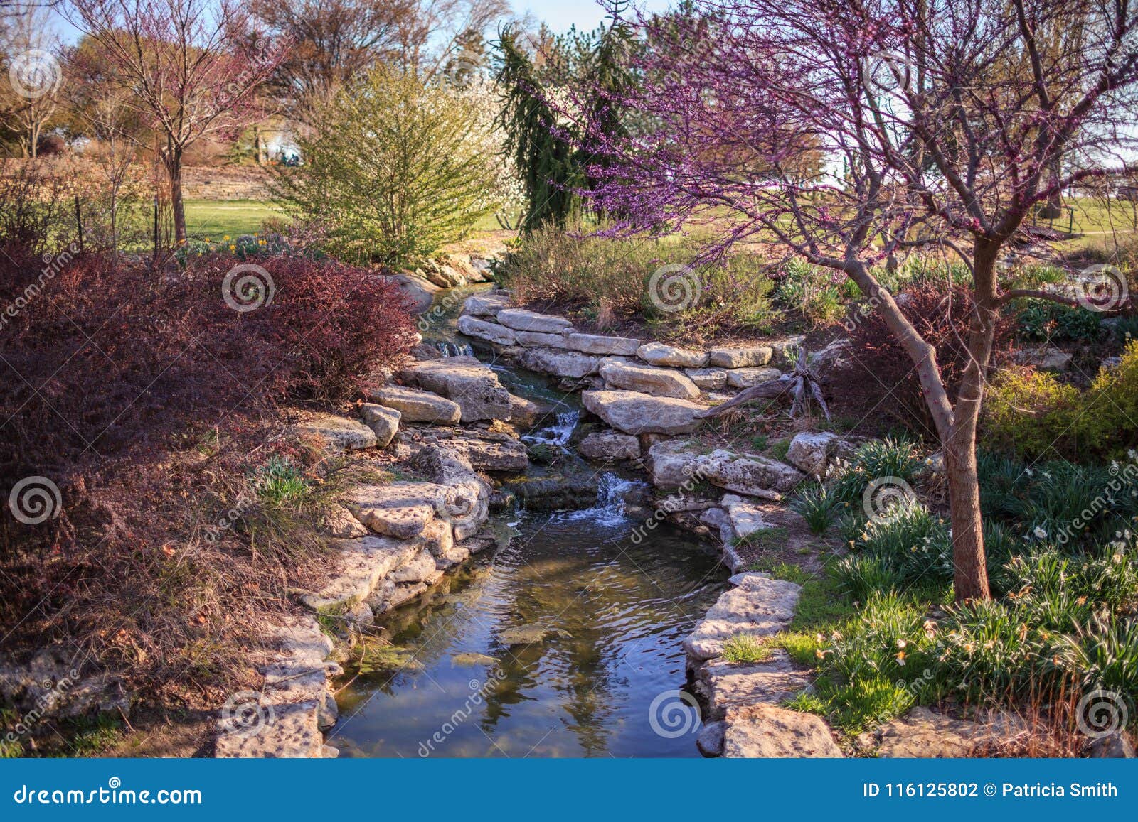 Wasserfall bei Ted Ensley Botanical Gardens genommen während des Vorfrühlings