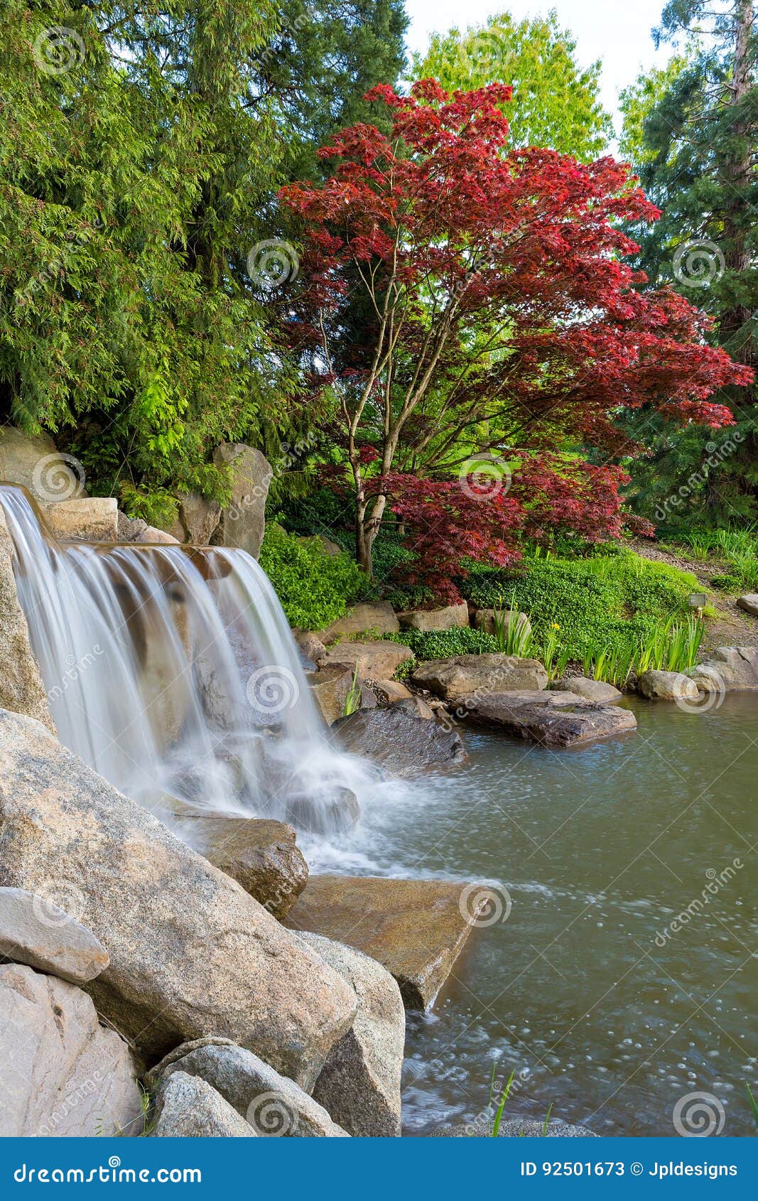 Wasserfall Und Teich Im Hinterhof Garten Stockbild Bild Von Garten Wasserfall 92501673