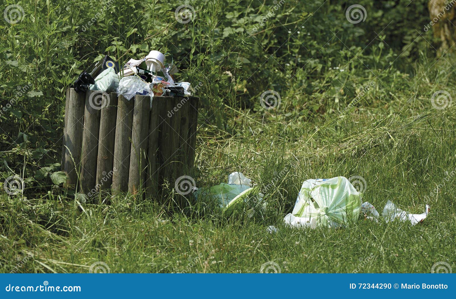 Waste basket stock photo. Image of basket, garbage, education 72344290