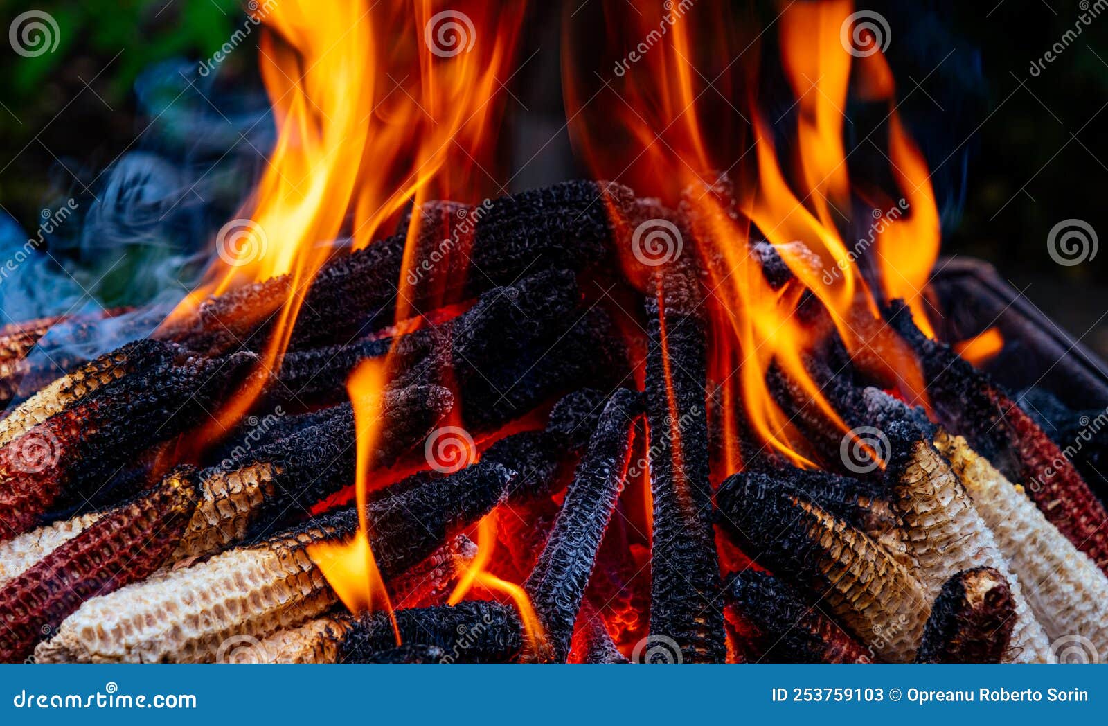 Waste corn cobs burning stock image. Image of fireplace 253759103