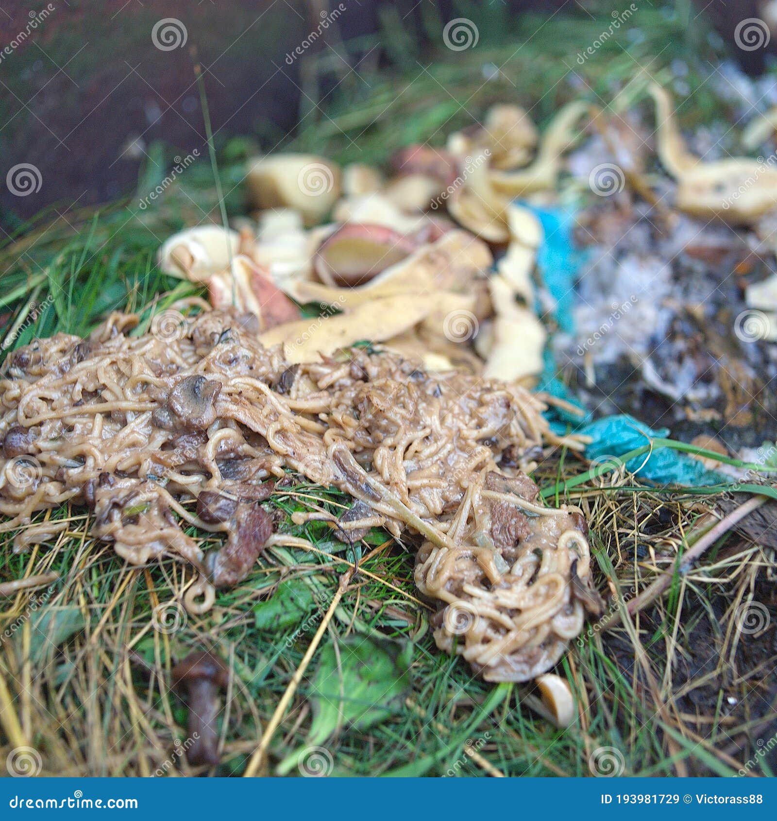 Wasted Noodle in Compost Box Stock Image Image of closeuo, wasted