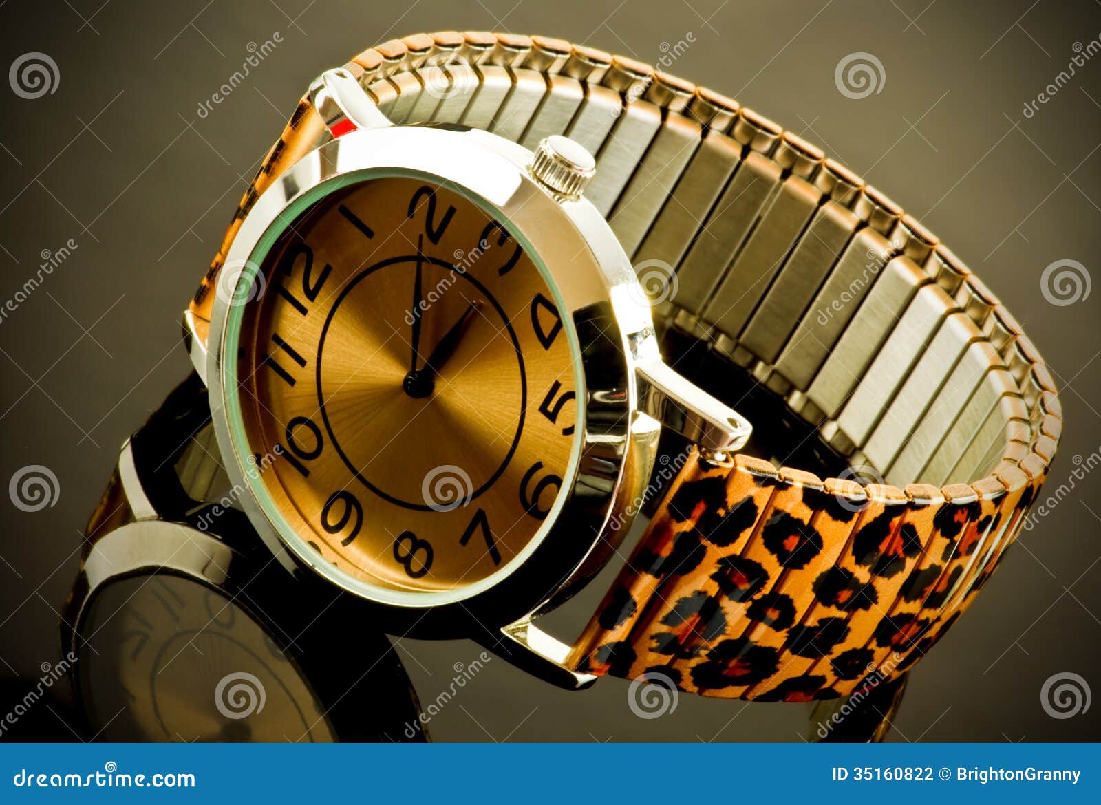 Watch with Animal Print Strap Stock Photo - Image of watch, reflected:  35160822