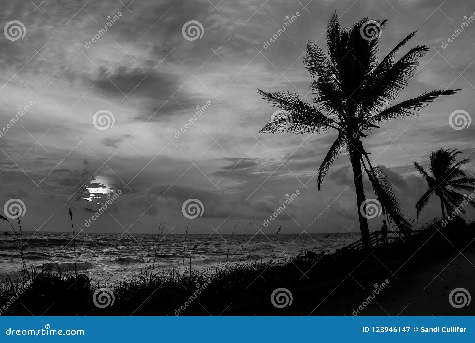 Watching the Black and White Sunrise Stock Image - Image of dunes ...