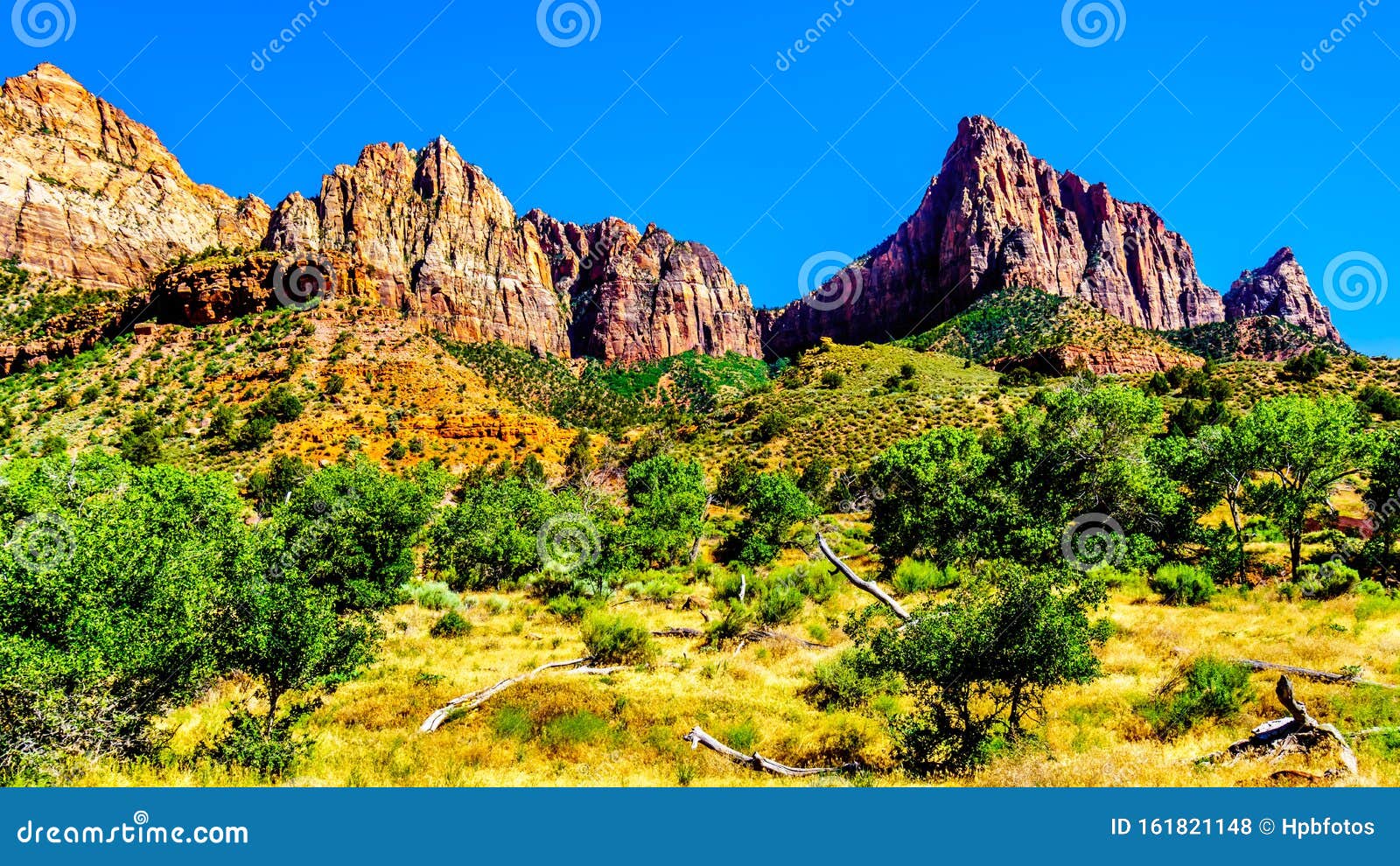 the watchman and bridge mountain viewed from the pa`rus trail in zion national park, ut, usa