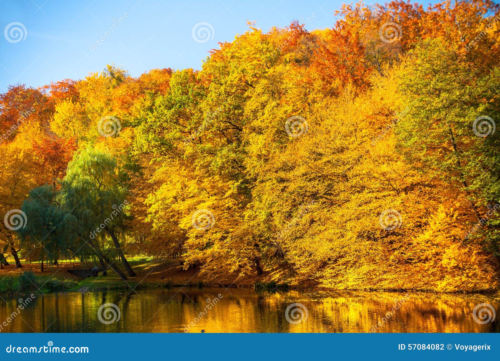 Water with Autumn Trees in Park Stock Photo - Image of water, orange ...