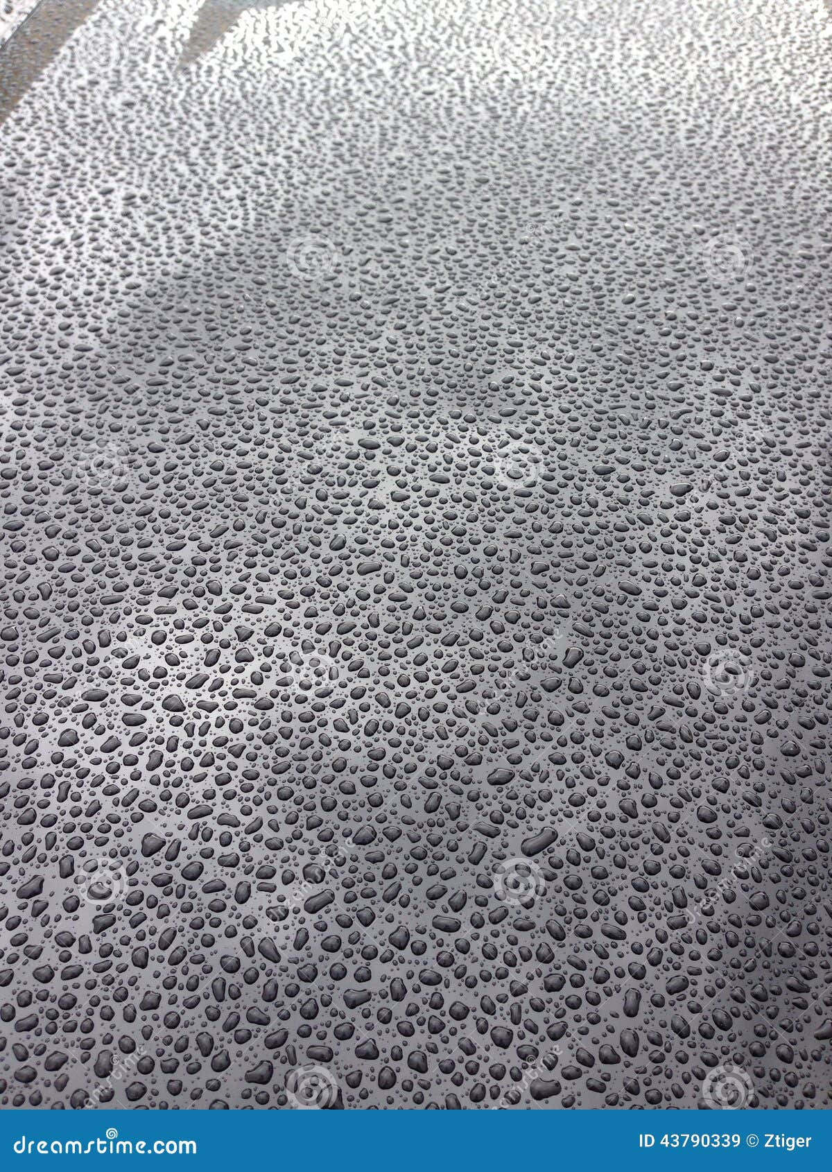 Water Beading on Car stock image. Image of water, beading 43790339