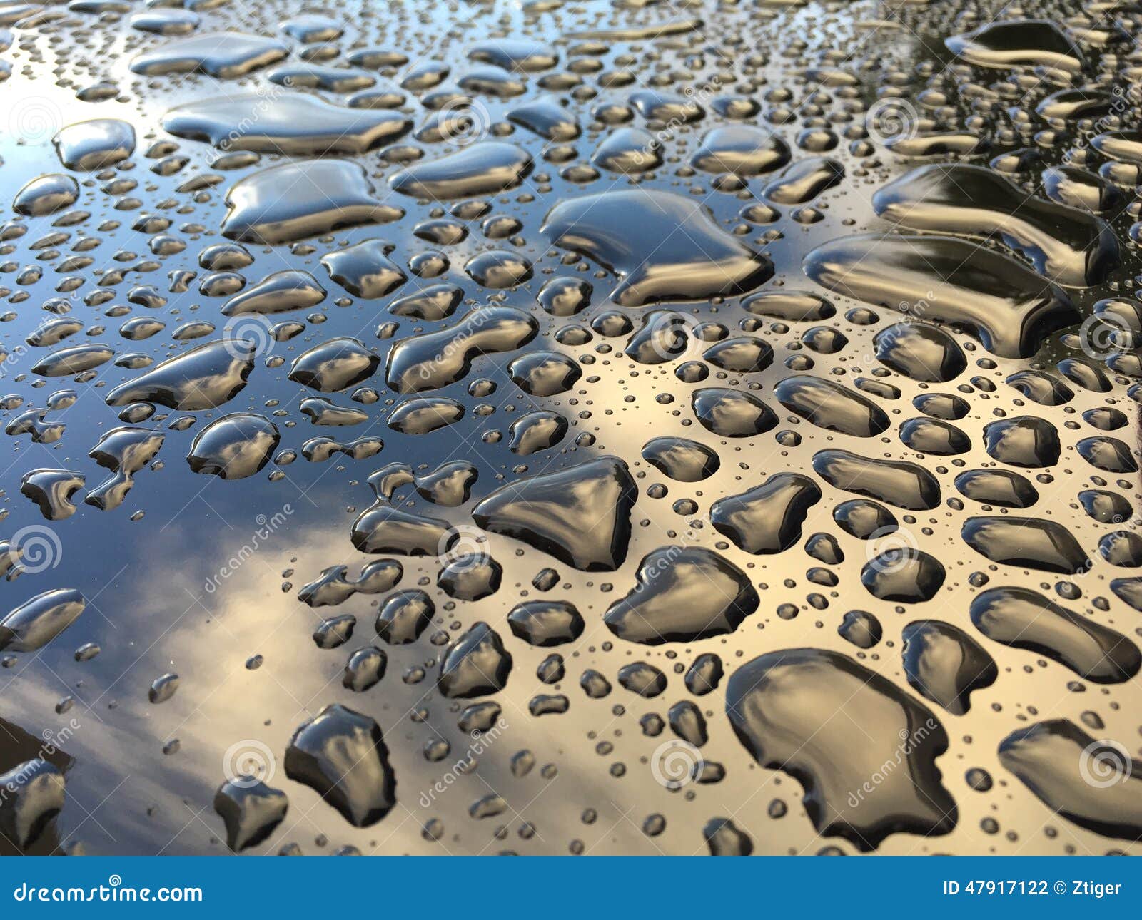 Water Beading on Vehicle stock photo. Image of black 47917122