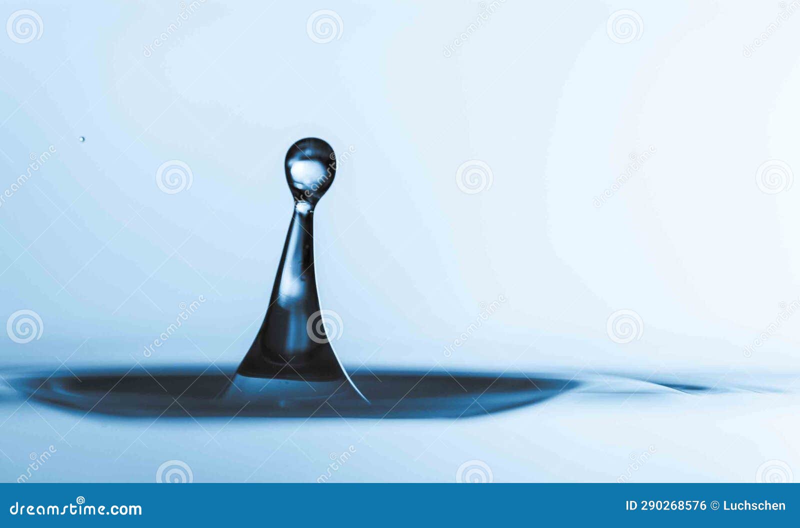 Water Bloom Observe the Blossoming Effect of a Falling Droplet on the