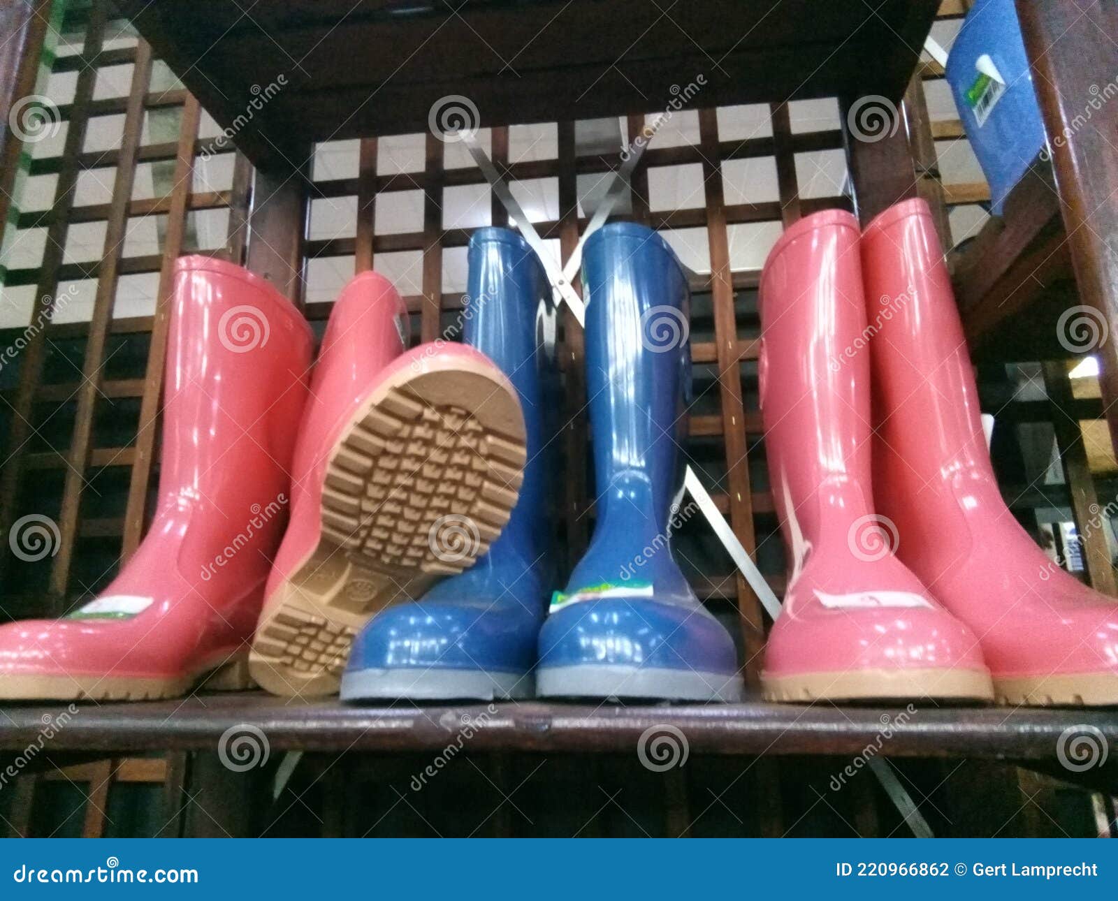 Water Boots. Gumboots for Lightweight. Garden Boots Stock Photo - Image ...