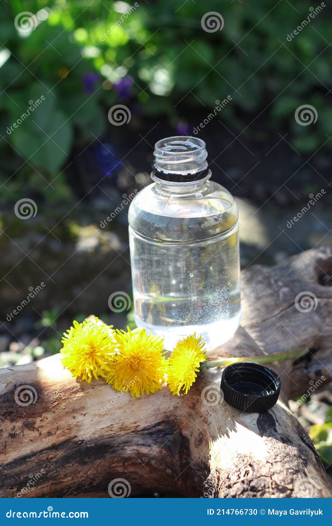 water bottle filled with natural spring water standing in the natural background