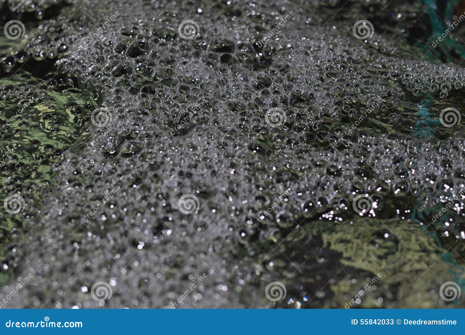 Water Bubble on Freshwater Aquarium Stock Image Image of freshwater, concept 55842033