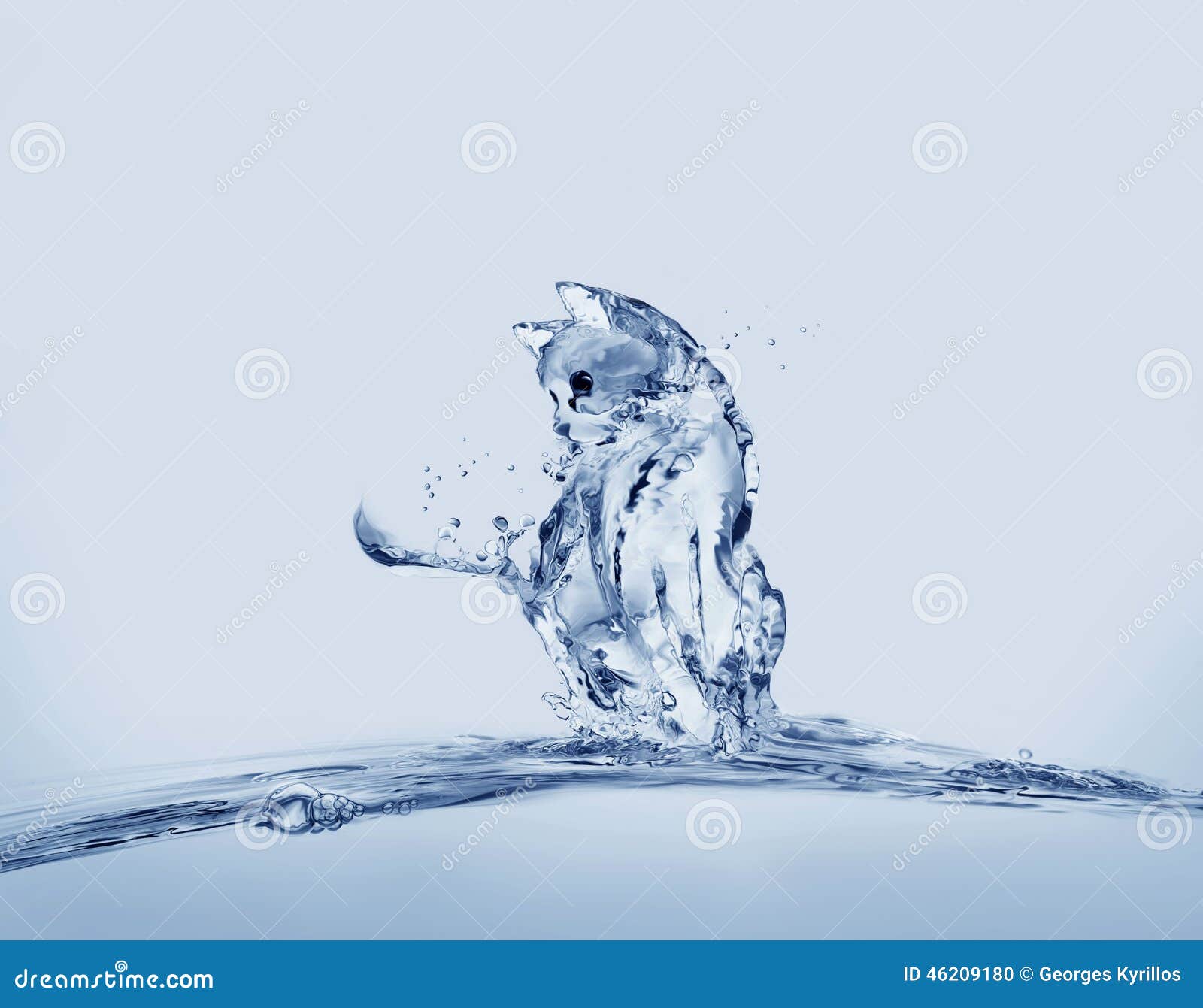 Water Cat Stock Photo - Image: 46209180