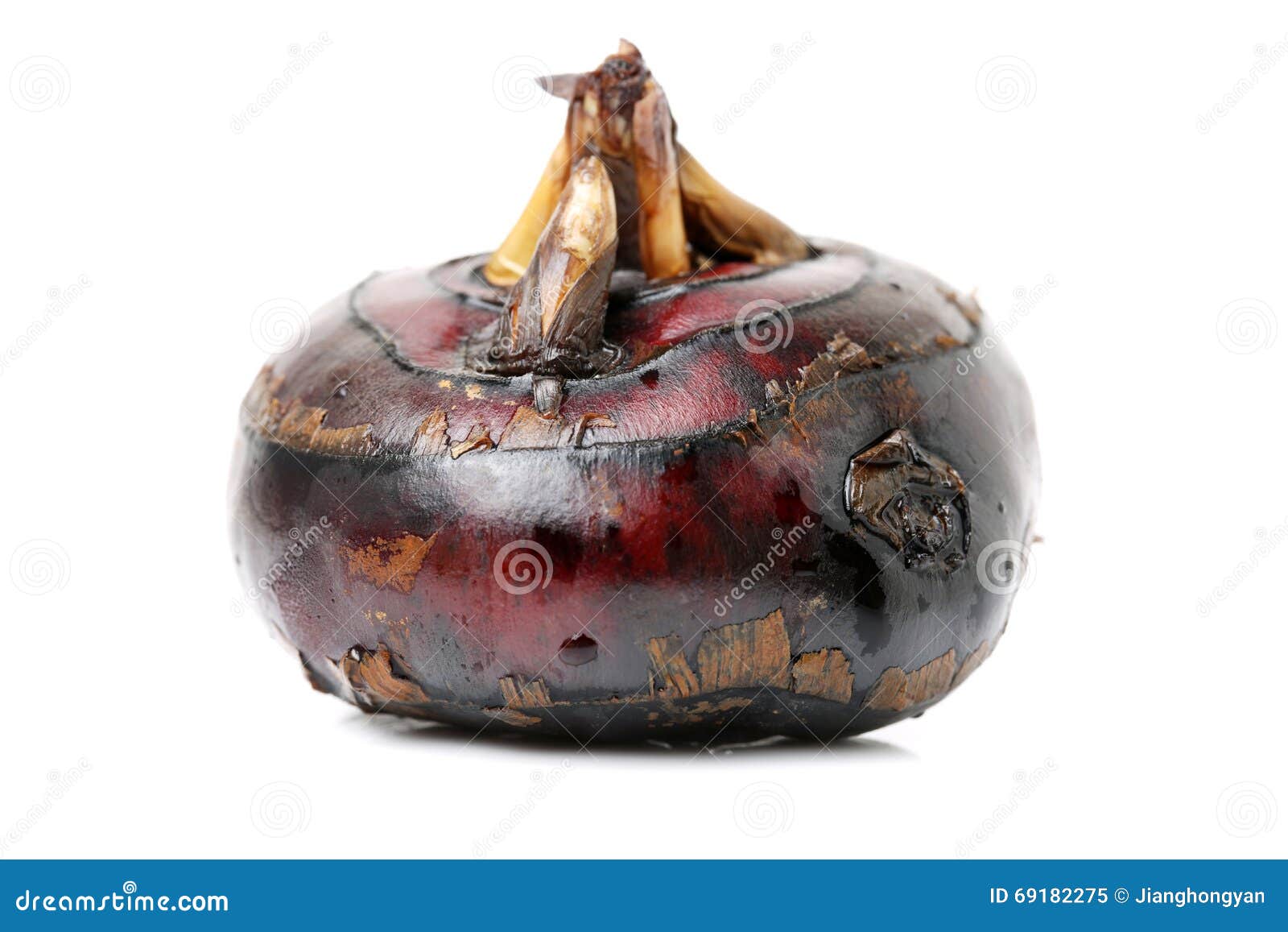 Water Chestnut stock image. Image of fresh, crops, nature 69182275