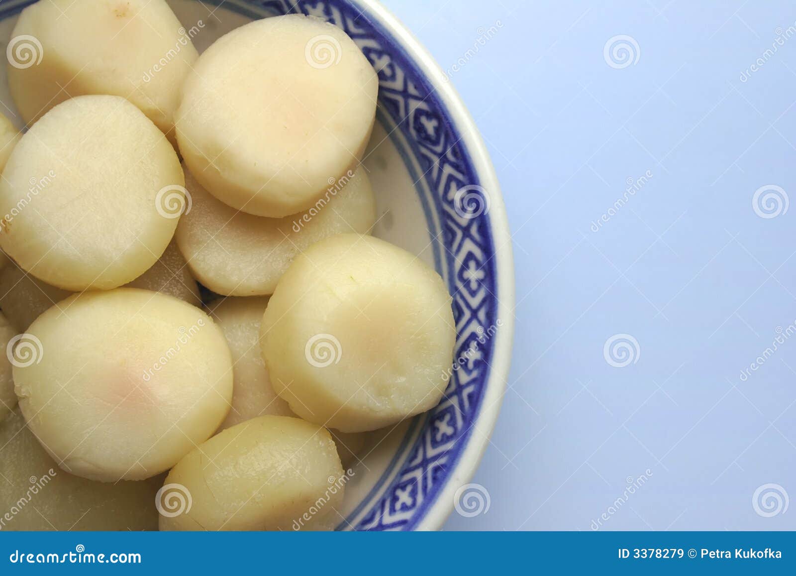 Water chestnuts stock image. Image of studio, copyspace 3378279