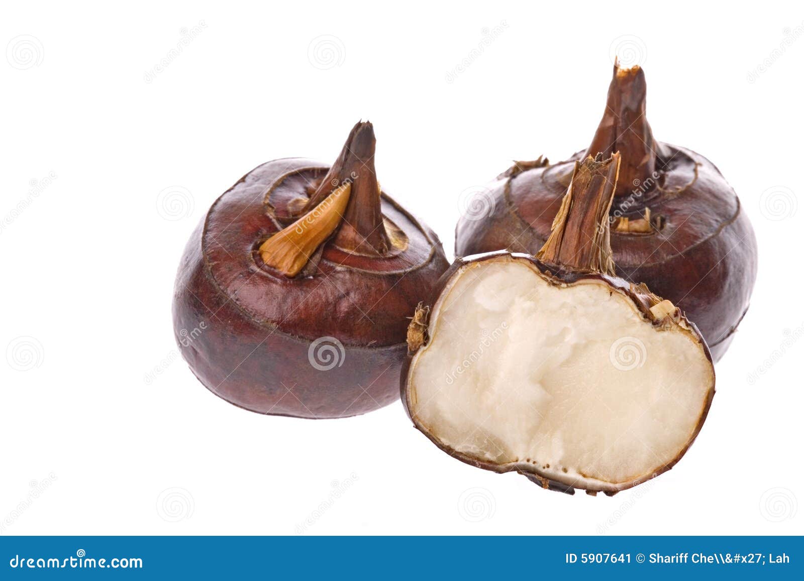 Water Chestnuts stock image. Image of isolated, nature 5907641
