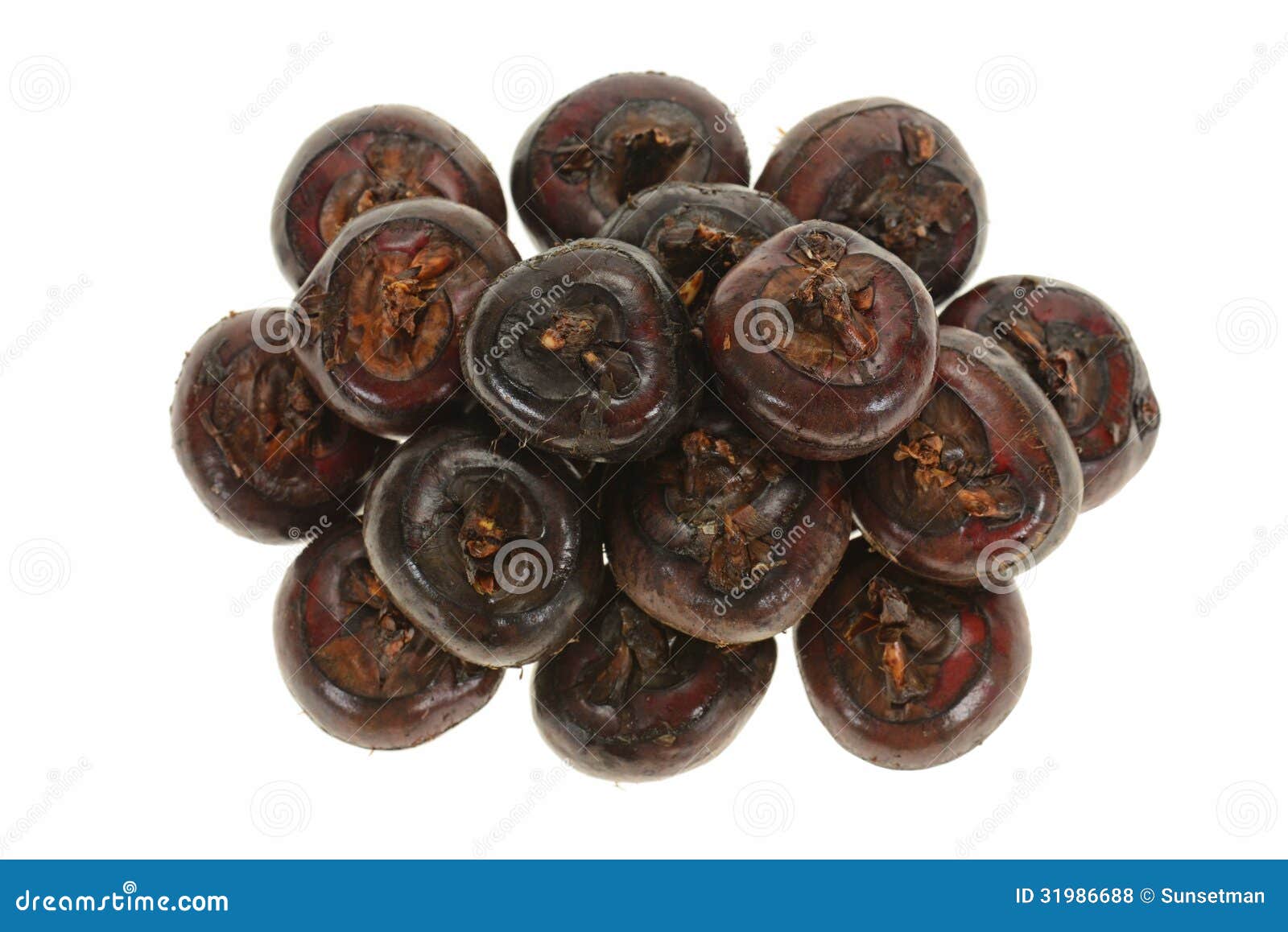 Water Chestnuts stock photo. Image of vegetable, food 31986688