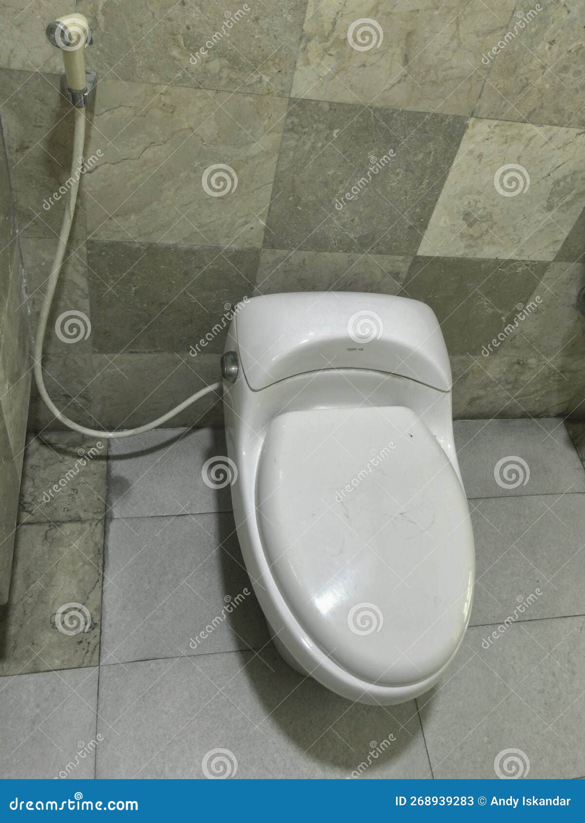 Water Closet with Its Bidet on a Tiled Bathroom Stock Image Image of