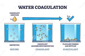 Flocculant Clipart And Illustrations