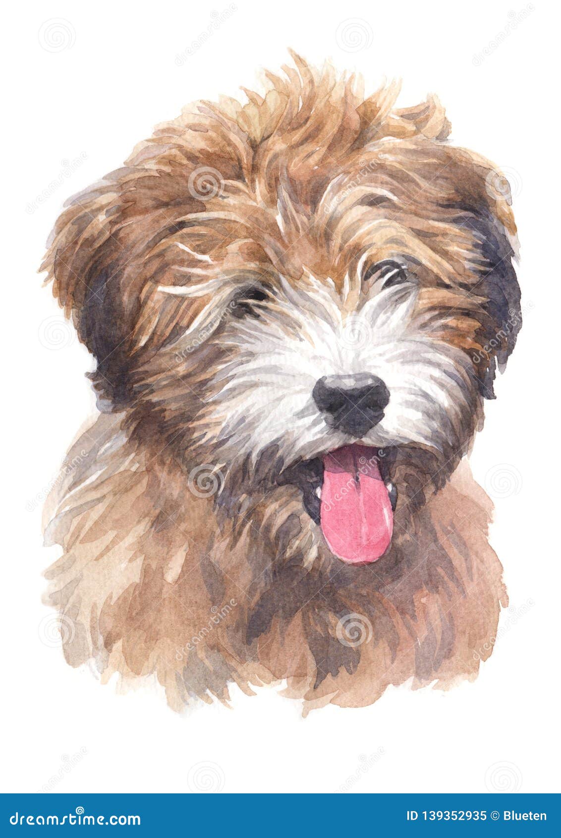 water colour painting, dog , fluffy tibetan breed, terrier 033