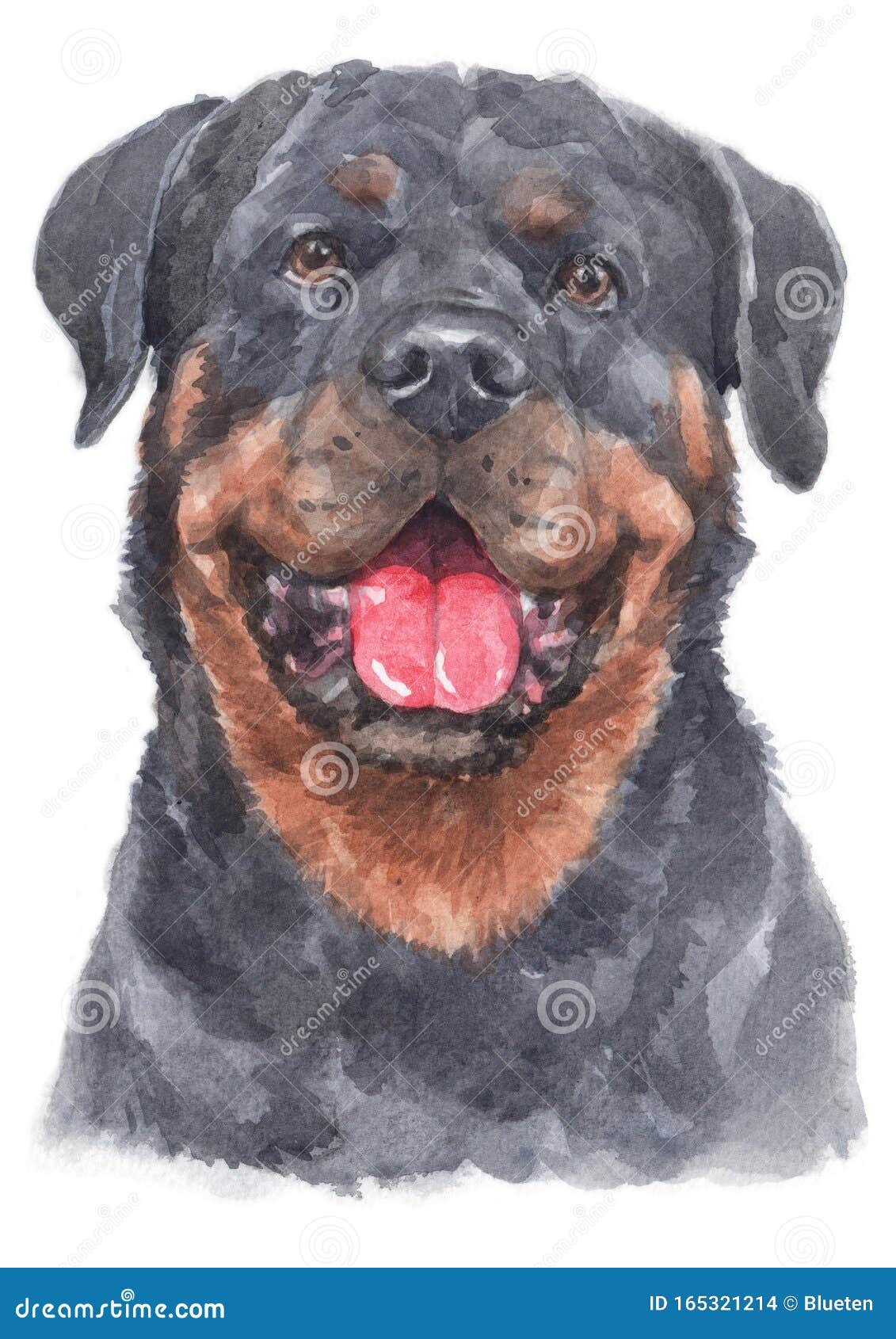 what are rottweilers used for