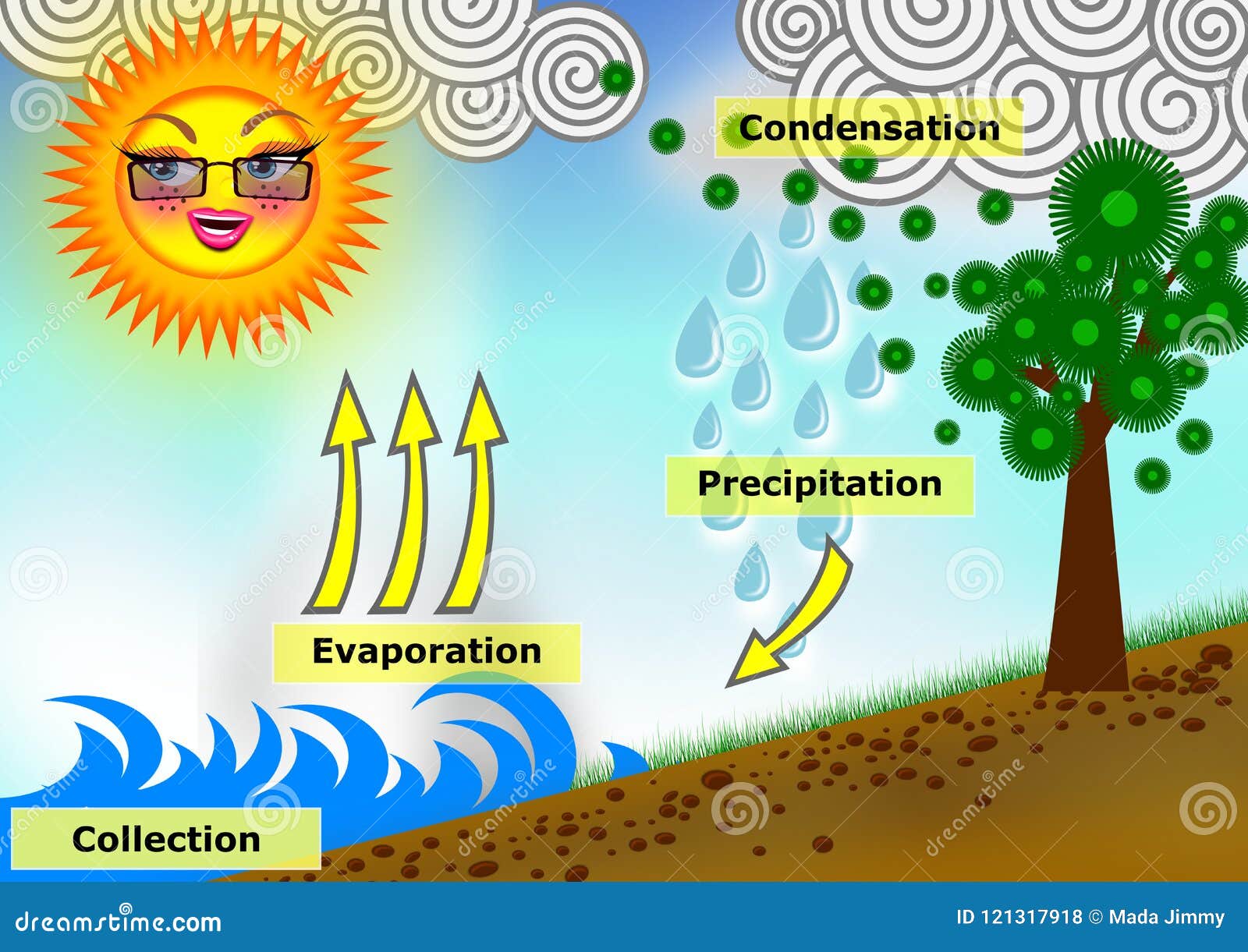 evaporation water cycle