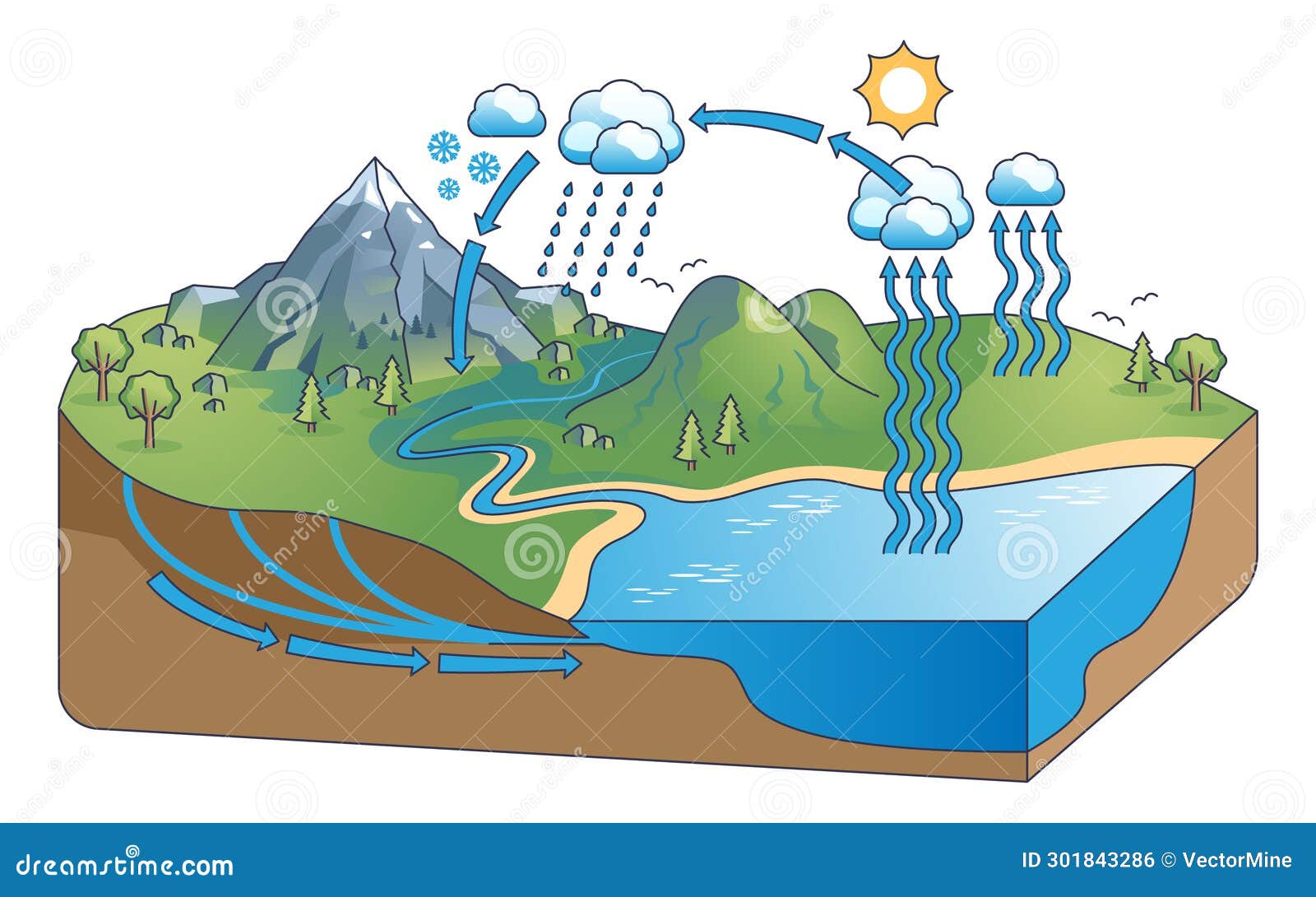 water cycle diagram with precipitation and condensation outline concept