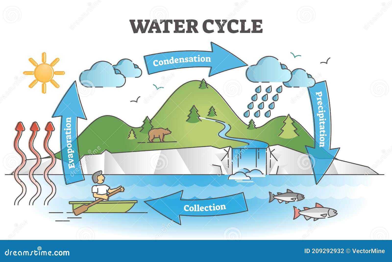 Draw a neat and labeled diagram of water cycle in nature.