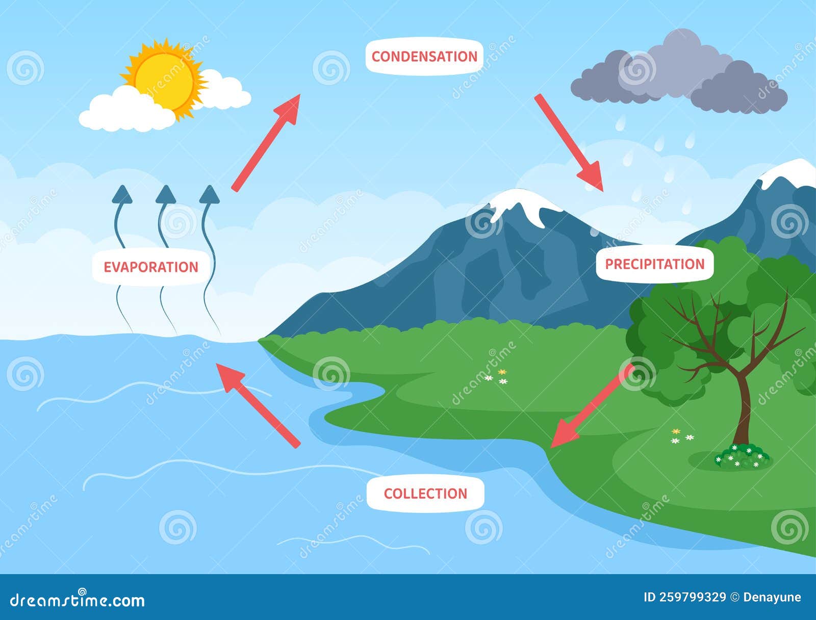 precipitation water cycle