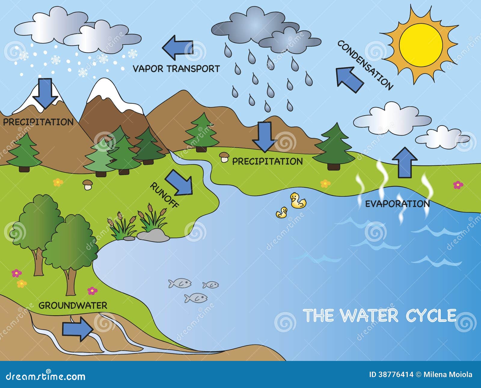 Water Cycle, Water Cycle Clipart, Water Cycle Diagrams, Water Cycle Science  - Etsy