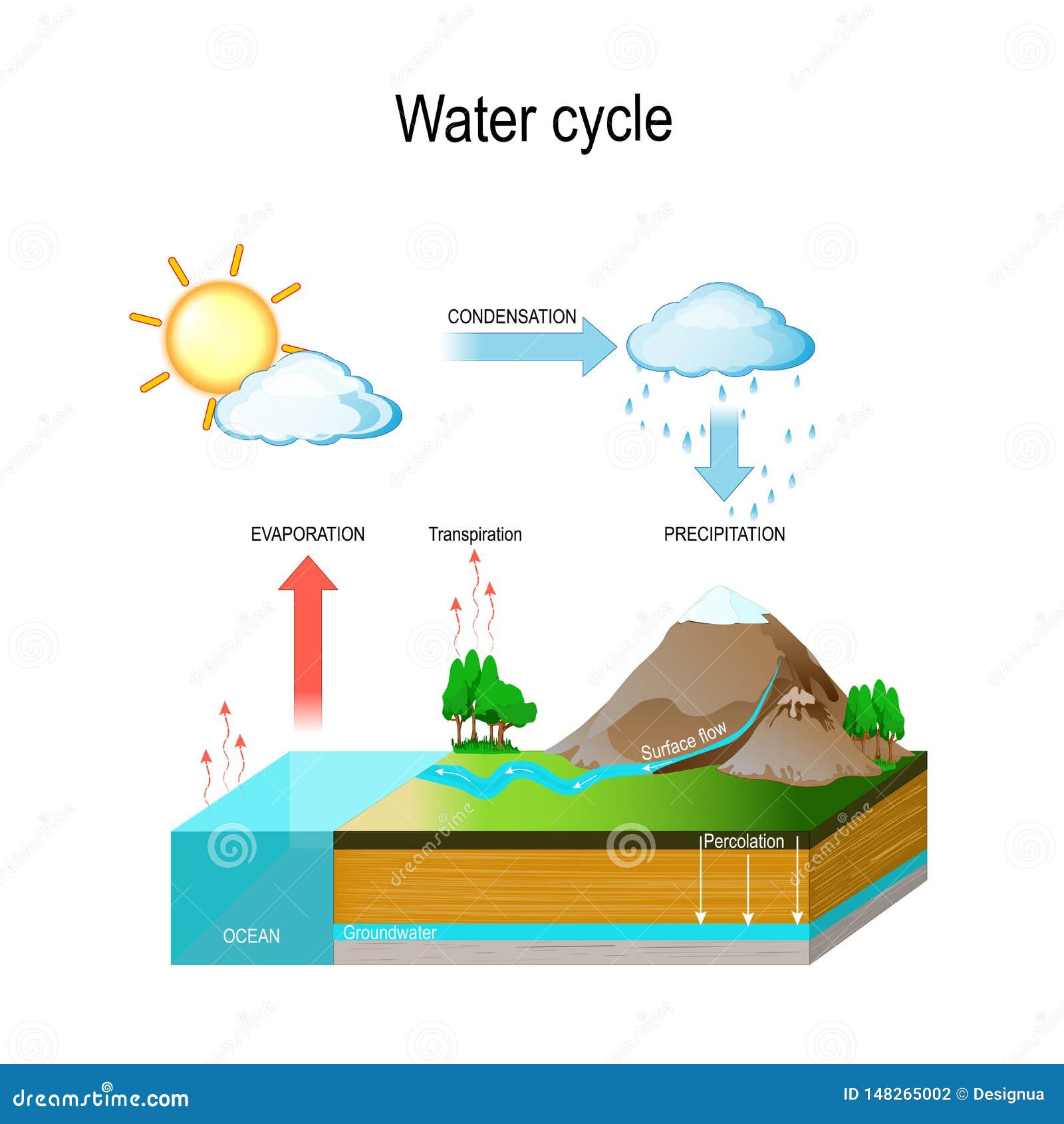 water cycle.   with and geological relief