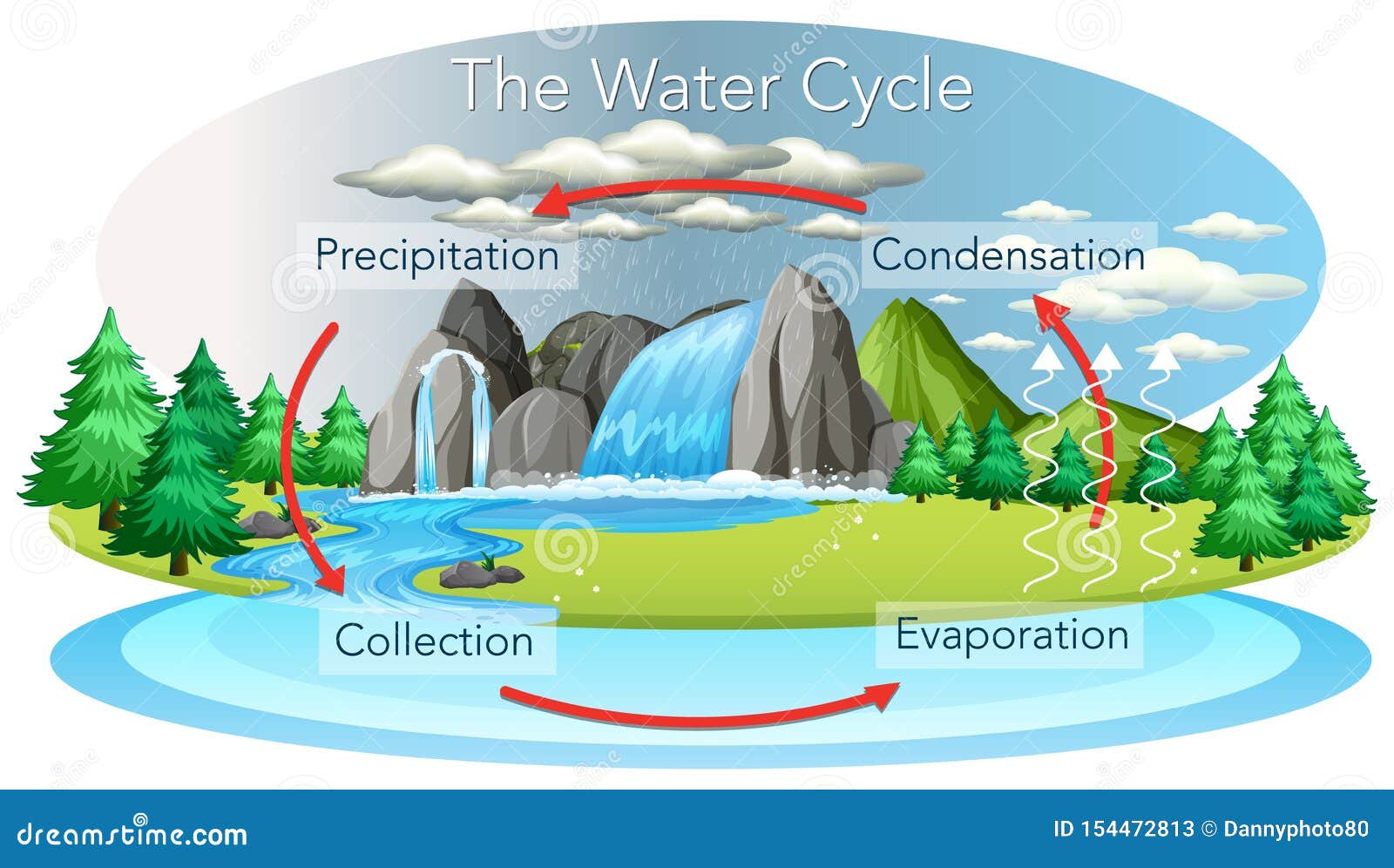 Water Cycle Process on Earth - Scientific Stock Vector ...