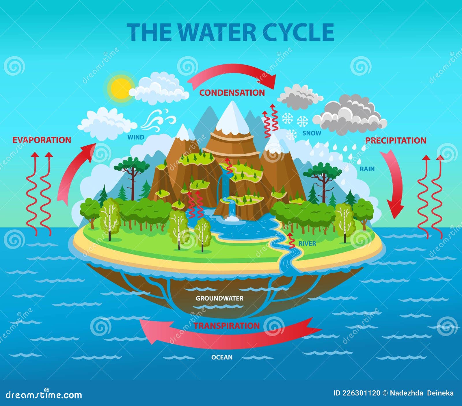 The Water Cycle. Vector Cartoon Illustration 226301120
