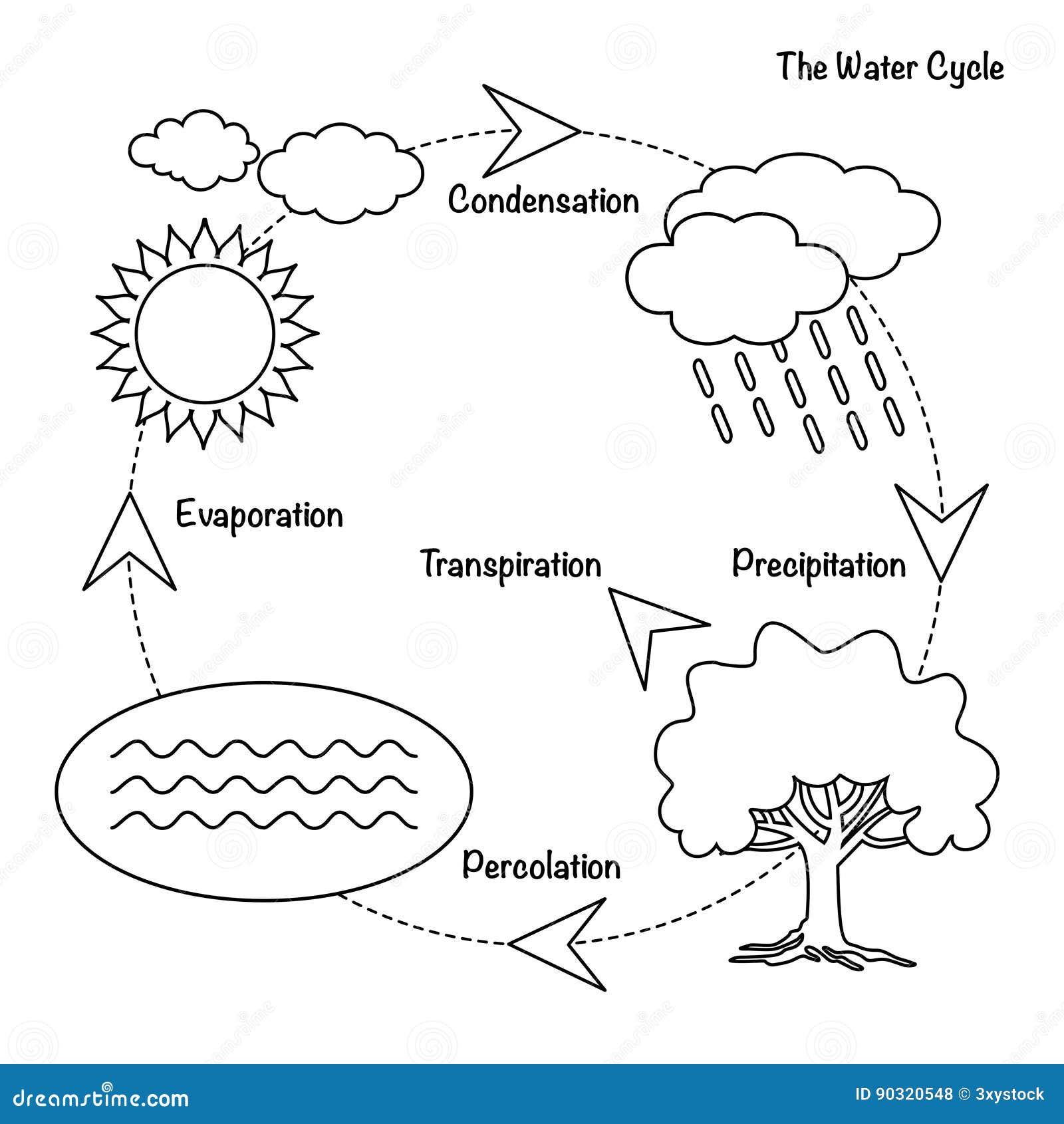 MetLink - Royal Meteorological Society The Water Cycle -