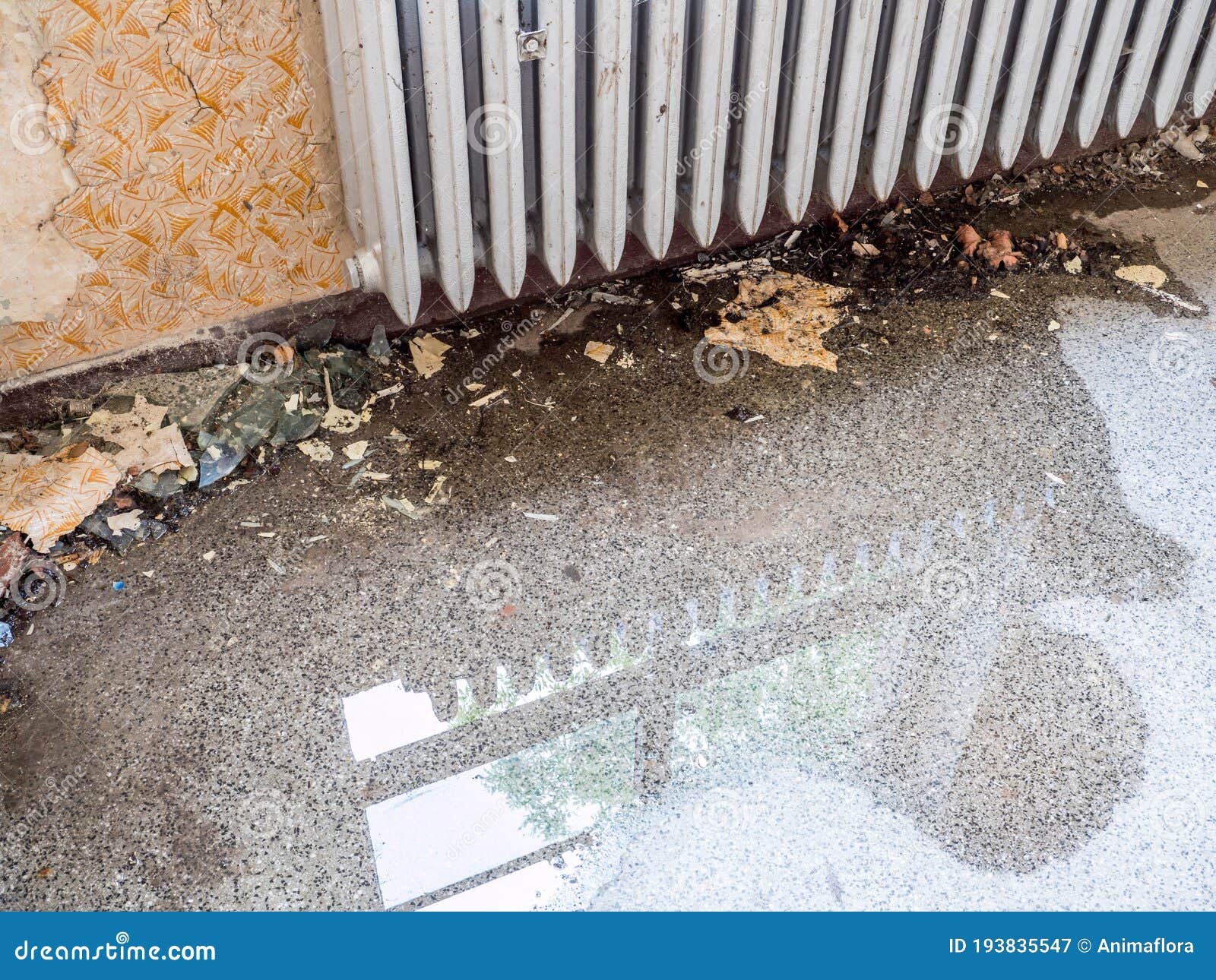 Water Damage in the Apartment Stock Image Image of pipe, tree 193835547