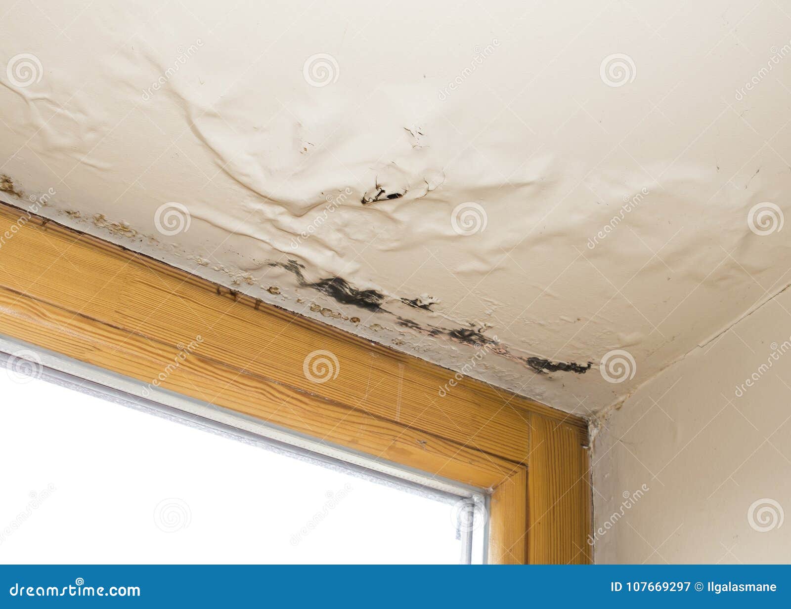Water Damaged Ceiling Next To Window Stock Image Image Of
